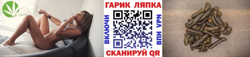 Купить закладки  Питкяранта  ГАШИШ индика сатива 