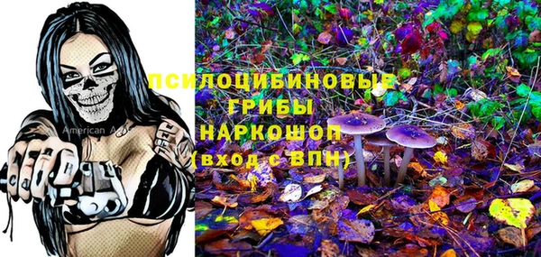 ешки Ельня