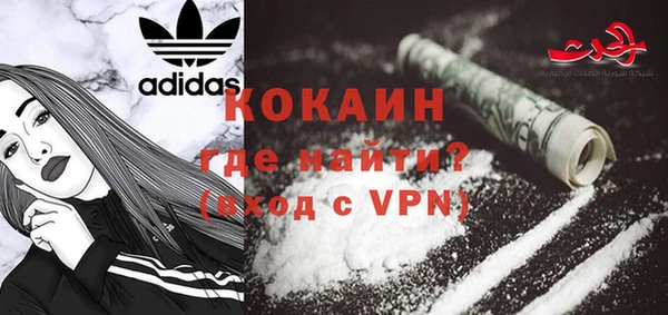 ешки Ельня