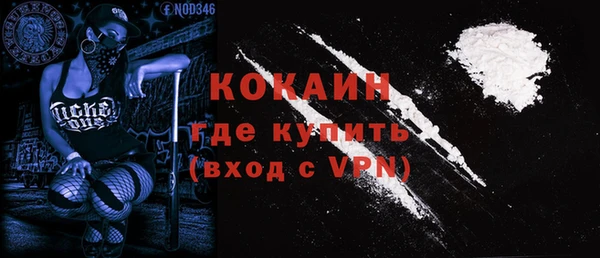 ешки Ельня