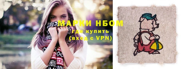 ешки Ельня