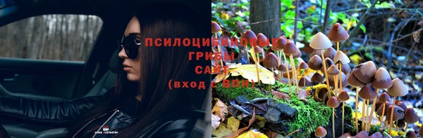 apvp Елизово