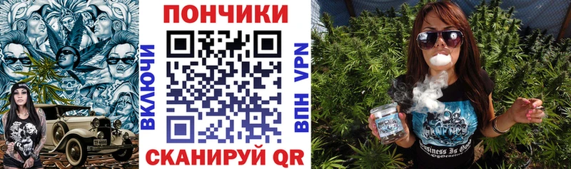 Бошки марихуана план  Купить  Питкяранта 